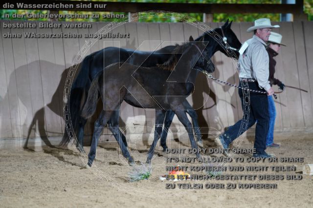 s_K3F04818.JPG